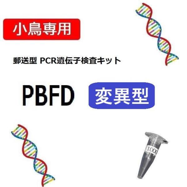 ●1キットにつき1羽のみ検査可能です●検査キットには有効期限があります（約1か月）----------------------愛鳥の羽か糞便を採取して郵送するだけ！セキセイインコで感染が広がっている変異型のPBFDの遺伝子検査を簡単にうける...