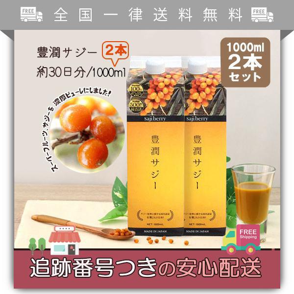 豊潤サジー 1000ml 2本セット 紙パック フィネス オーガニックサジー