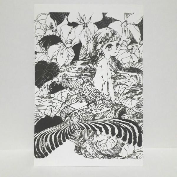 ポストカード 人魚とスミレ なか身 絵葉書 ハガキ オリジナルイラスト Buyee Buyee Japanese Proxy Service Buy From Japan Bot Online