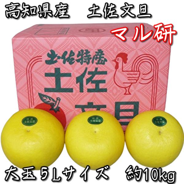 tosa-umaimon_buntan06 tosa-umaimon_buntan06