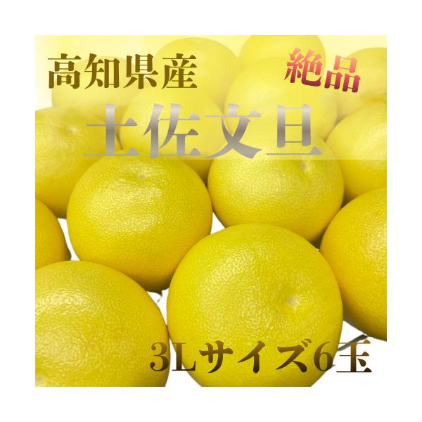 高知県産 土佐文旦 ぶんたん 大玉 3Lサイズ 約3kg ご家庭用 ご贈答用南国の味覚 土佐文旦です。「土佐文旦」とは…ザボンと同じ仲間で高知県の特産です。寒さや乾燥に弱いため、高知県でも限られた地域でしか生産できません。さわやかな風味と香...