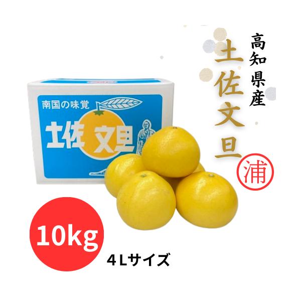 ピース　高知特産　土佐文旦　4L限定大玉サイズ　約20㎏ ピース 高知特産 土佐文旦 4L限定大玉サイズ 約20㎏ 文旦 土佐文旦