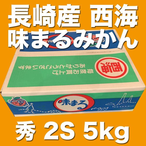 お歳暮に最適 長崎産 西海 味まるみかん 秀 2s 5kg Buyee Buyee 日本の通販商品 オークションの代理入札 代理購入