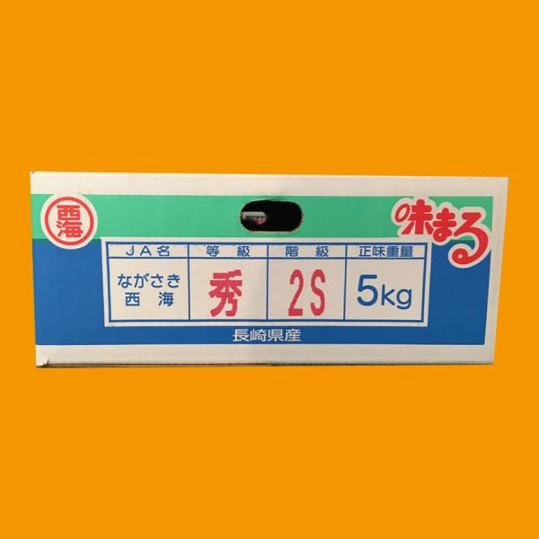 お歳暮に最適 長崎産 西海 味まるみかん 秀 2s 5kg Buyee Buyee 日本の通販商品 オークションの代理入札 代理購入
