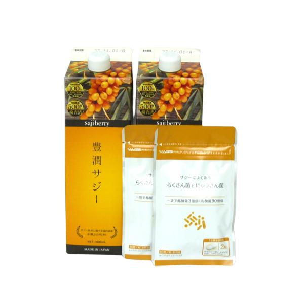 サジージュース 豊潤サジー 1000ml 紙パックタイプ サジーによくあうらくさん菌とにゅうさん菌 60粒 各２個セット