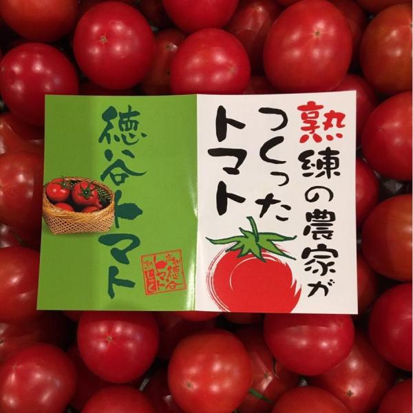 tosa-umaimon_tomato-002