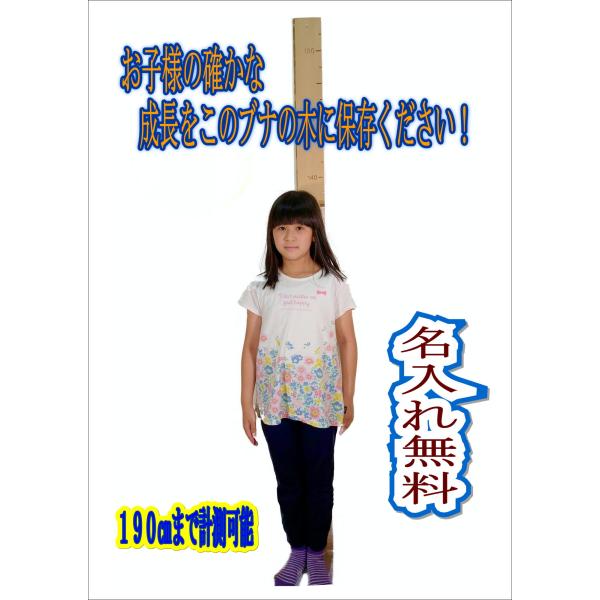 ブナ無垢材サイズ：長さ 約190cm・幅 約9〜12cm・厚み 約1.8cm・重量 約2.5kg材質：天然木（ブナ(ビーチ)／きめ細かく柔らかい質感)色：ナチュラル※天然木の為、サイズ・色等は１点ずつ異なり、フシが入っていることがあります。...