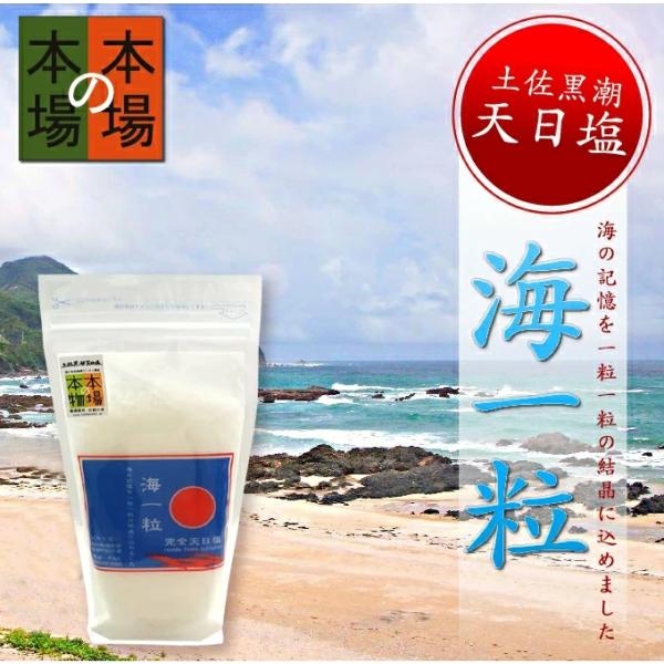 【メール便で送料無料】土佐黒潮天日塩　【海一粒】　天日塩　200g ギフト プレゼント 食品 送料無料 グルメ  プレゼント