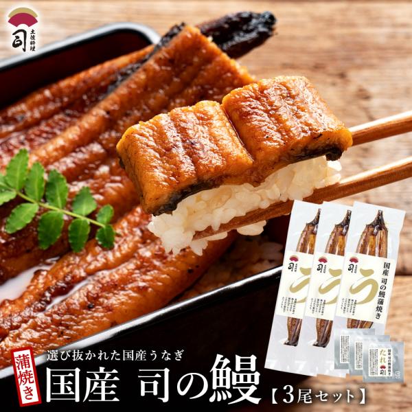 2026 ギフト 食べ物 ギフト うなぎ 鹿児島県産 蒲焼き 2尾セット たれ付き 国産うなぎ蒲焼 鹿児島県産 贈答用 鰻 かば焼き 蒲焼 ポイント利用