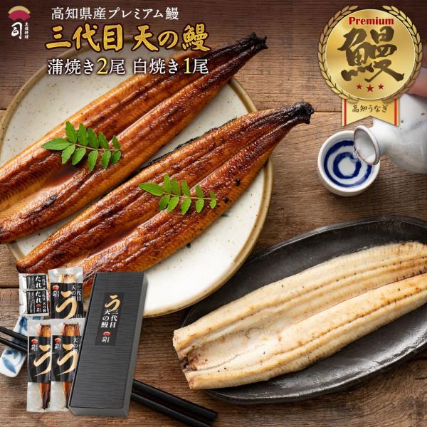 敬老の日 ギフト 三代目 天の鰻 蒲焼き2尾、白焼き1尾 セット たれ付き 高知県産 うなぎ 蒲焼 国産 送料無料 司  ポイント利用 006011