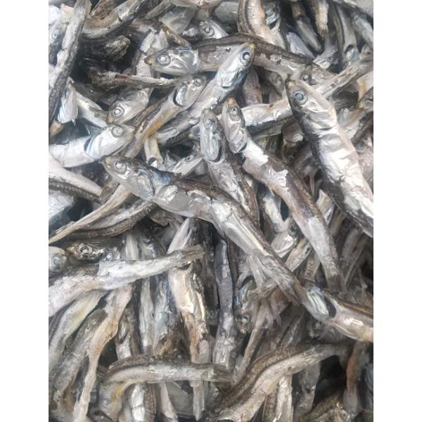 いりこ煮干し 1kg【出来立て直送・片口イワシだしじゃこ】※お味噌汁やお煮物用に、ご家庭で料亭の味をお楽しみください