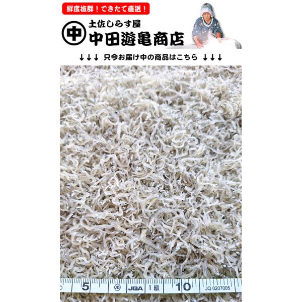 ちりめんじゃこ250g【天日干し仕上げ上乾ちりめんじゃこ】※人気の極小〜小サイズ、香りよく風味旨味しっかり、大変綺麗で美味、おむすび・ちりめん山椒など