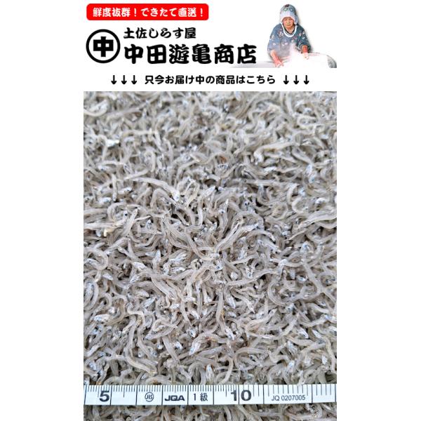 当店の定番人気、上干ちりめんじゃこです。天日干しで旨味がぎゅっと凝縮、おむすび・チャーハン・菜飯・サラダ・大根おろしなどに最適です。※只今お届け中の商品写真・サイズは掲載写真よりご確認いただけます。釜揚げしらすを程好い硬さに天日干し、適度な...