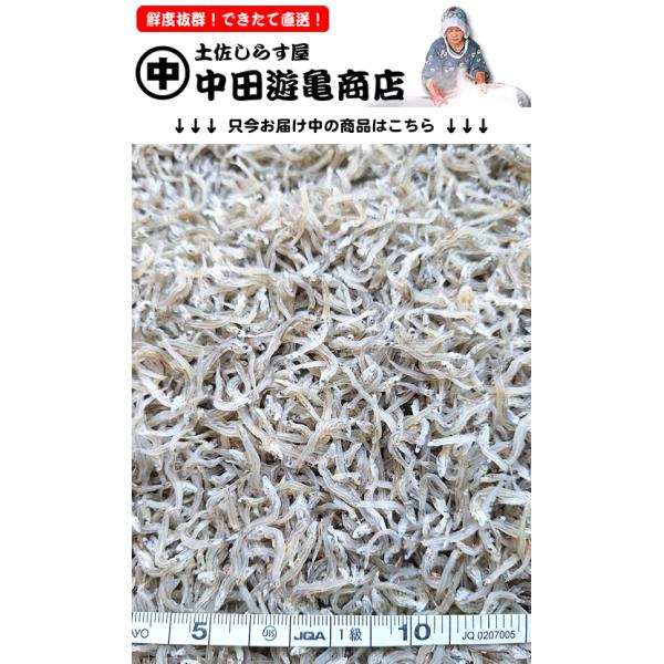 ちりめんじゃこ 250g【天日干し上乾ちりめんじゃこ】※定番の小〜中サイズ、硬すぎない中〜上乾燥仕上げ、味良し香り良し旨味抜群、おむすび・佃煮・サラダ用に