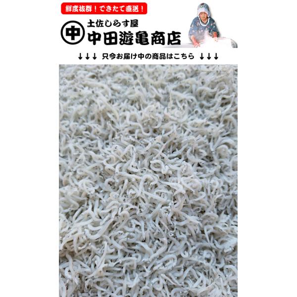 当店自慢の人気商品、昔ながらの釜揚げしらす（しらす干し）。できたてをクール冷蔵便で、ふわふわ・プリプリ食感のままお届けいたします。しらすは一般的に、凍らせた「冷凍便」で送られることが多いのですが、当店ではできたての品をそのままヤマト運輸様の...