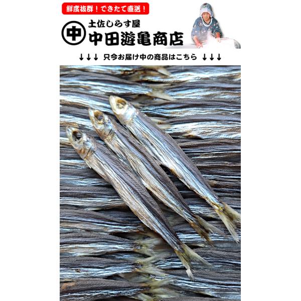これぞ土佐の干物、高知の自慢がいっぱいに詰まった名物うるめいわし干しです。高知人に最も愛されている中〜上乾燥「ぼっちり干し」仕上げ。焼くと軟らか過ぎず硬過ぎず、丁度良い食感に。湧き出る旨味をご堪能ください。春〜夏は約5〜16cmの小〜中サイ...
