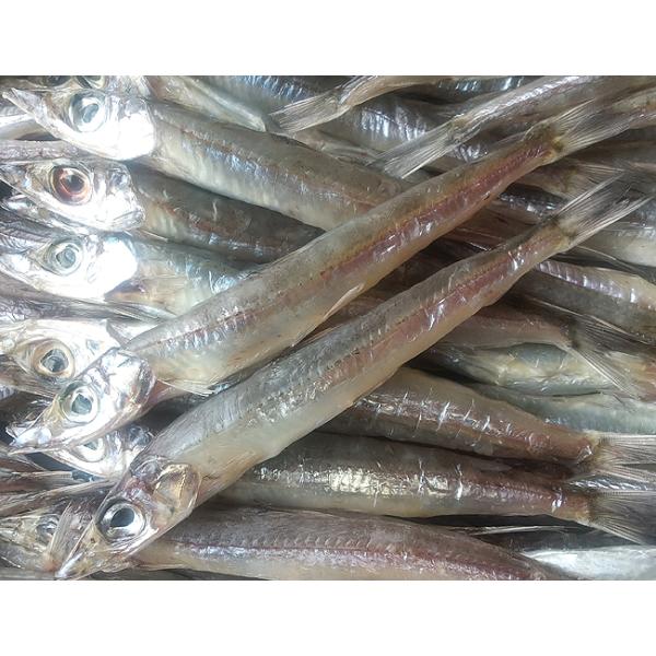 【沖ウルメ丸干し・1kg】出来たて直送！土佐珍味 沖ウルメ丸干し 200g×5袋（30〜50尾）