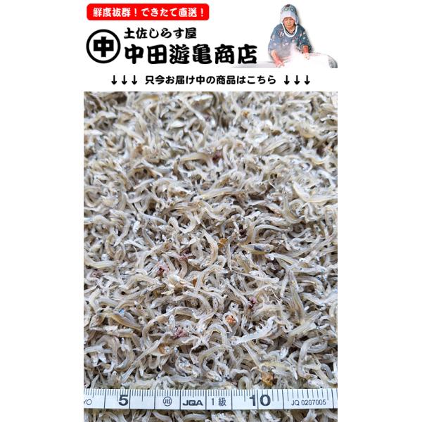 ちりめんじゃこ250g【天日干し出来立て直送】※期間限定の旬混ざり（食べて美味しいタコ・ハギ・カニの子など）中〜上乾燥仕上げ・香り良く風味旨味しっかり美味