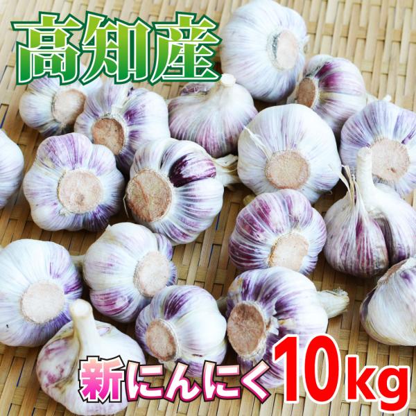 【旬】生ニンニク　10kg 愛媛県産 tosanoumamiichiba_fps-nnn10