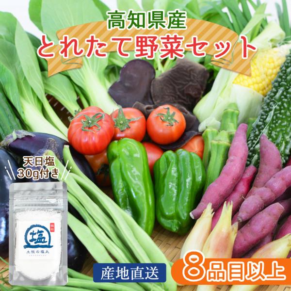 【ご案内】商品は、龍馬のふるさと高知から産地直送いたします。【高知県は農産物の宝庫】高知県は、北は四国山脈、南は広い太平洋に面し、沖に流れる暖流黒潮の影響から、温暖で日照時間が多いという高知県の特徴を活かして、農業が盛んで「園芸王国」とよば...