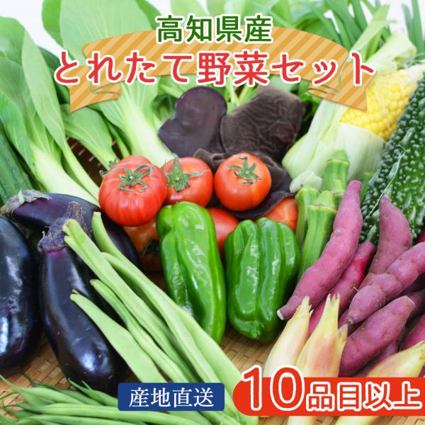 【ご案内】商品は、龍馬のふるさと高知から産地直送いたします。【高知県は農産物の宝庫】高知県は、北は四国山脈、南は広い太平洋に面し、沖に流れる暖流黒潮の影響から、温暖で日照時間が多いという高知県の特徴を活かして、農業が盛んで「園芸王国」とよば...