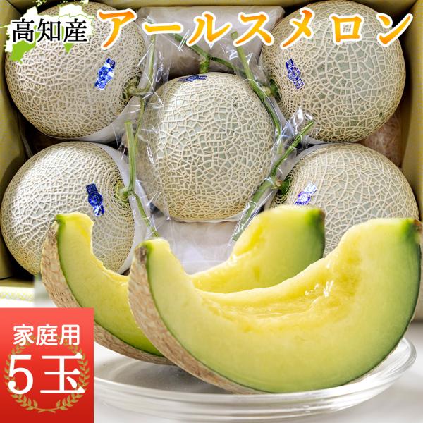 BJ  アールスメロン山5玉 限定10個 メロン 高知産 家庭用 5玉 高級 温室 ハウスメロン 青
