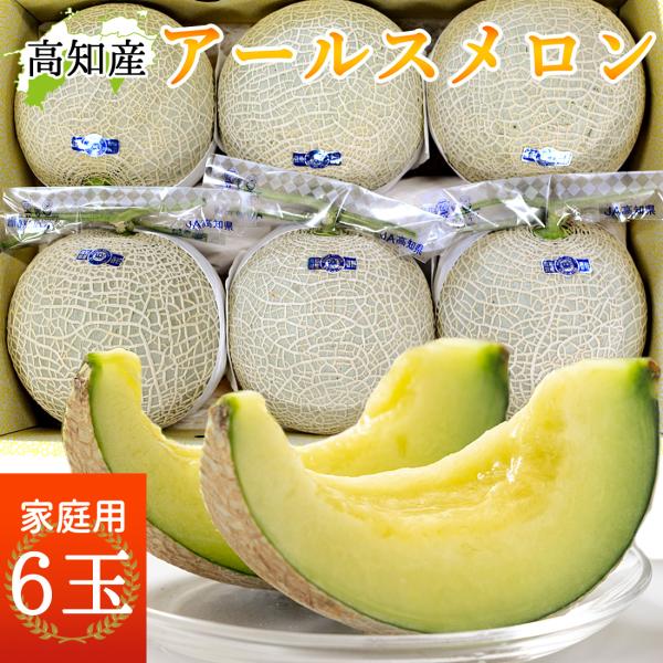 予約】 メロン 高知産 家庭用 6玉 高級 温室 ハウスメロン 青肉メロン