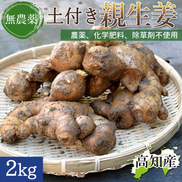 親生姜とは、生姜を栽培する際の種として使用した生姜のことです。 種として使用した親生姜も子株と一緒に食べることができます。＜無農薬栽培＞農薬・化学肥料は不使用。肥料には、家畜糞などは使わず、ボカシ肥料と油かすで栽培しています。■品名：無農薬...