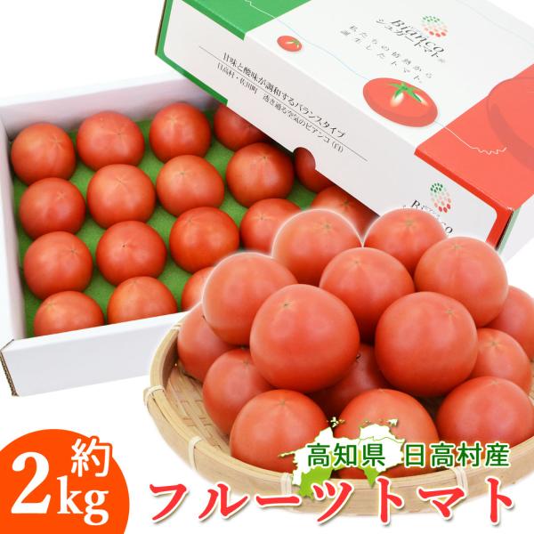【日高村のシュガートマト/フルーツトマト】「シュガートマト」とは、全国でも屈指のフルーツトマト産地として知られている高知県「日高村」地方で誕生した高糖度のトマトのことで、JA高知県のブランド名です。フルーツトマトは一般的に糖度が８度以上のも...