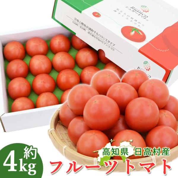 【日高村のシュガートマト/フルーツトマト】「シュガートマト」とは、全国でも屈指のフルーツトマト産地として知られている高知県「日高村」地方で誕生した高糖度のトマトのことで、JA高知県のブランド名です。フルーツトマトは一般的に糖度が８度以上のも...