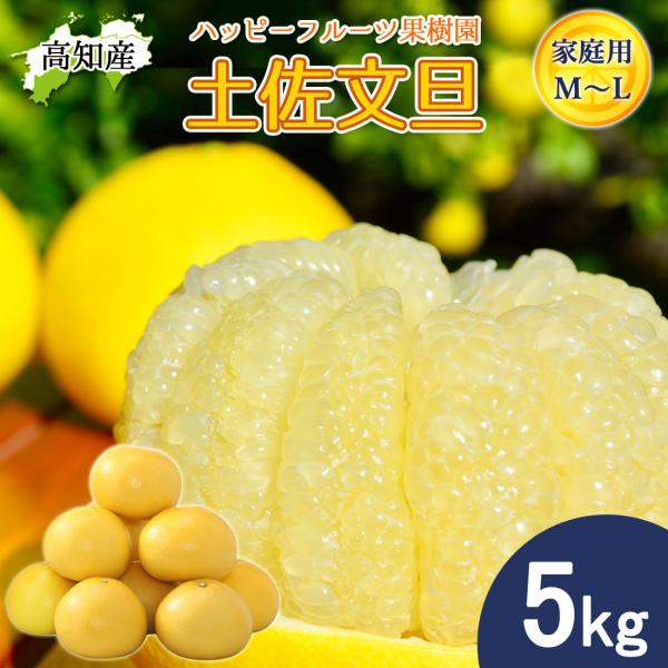 文旦 土佐文旦 小 家庭用 5kg M〜Lサイズ ハッピーフルーツ果樹園 宿毛