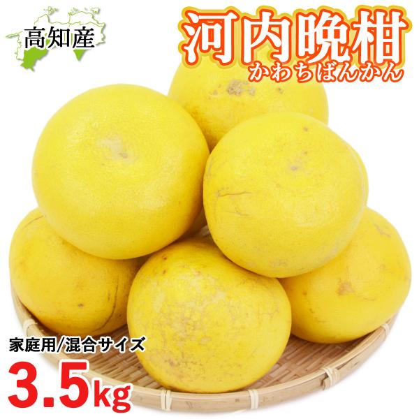 成田直送 河内晩柑 家庭用 3.5kg 混合 L〜5L 成田果樹園 河内ばんかん 高知産 宿毛 特産 和製グレープフルーツ 美生柑 生産農家直送 夏文旦 送料無料