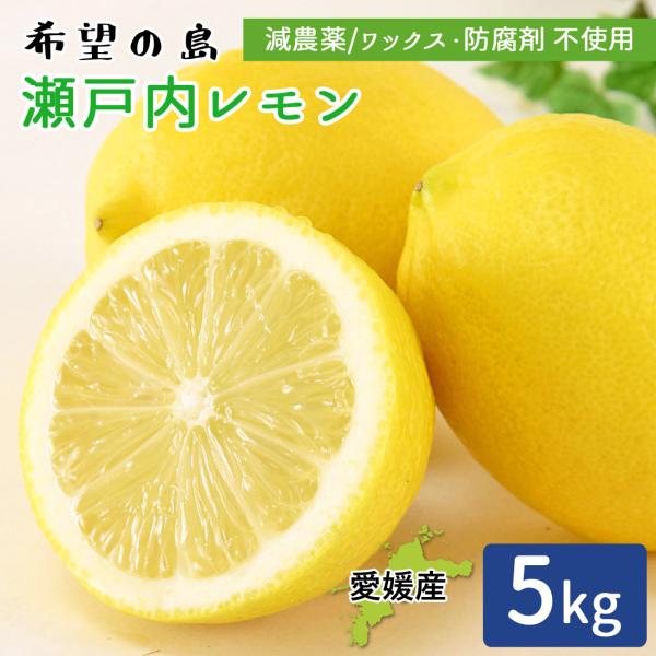 産地直送 瀬戸内レモン 5kg 家庭用 残留農薬ゼロ 瀬戸内海 離島 檸檬 愛媛県 中島産 希望の島産 減農薬 ノーワックス 防腐剤不使用 送料無料
