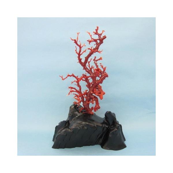 高知沖産血赤珊瑚の拝見・原木・置物/艶出し加工済み/黒檀台/『宝石