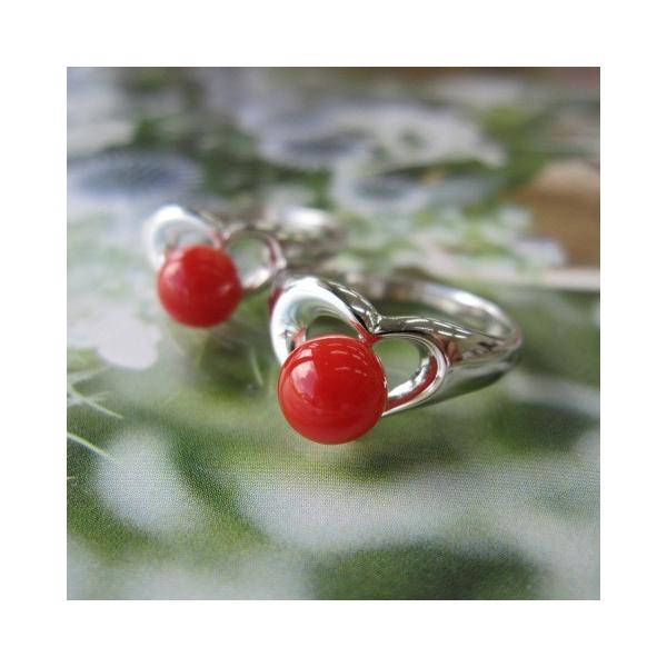 高知沖産赤珊瑚のシルバーリング(約6ミリ)/指輪/SILVER/【ハート