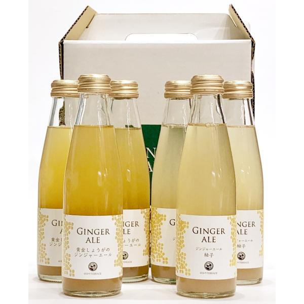 ジンジャーエール2種 各3本（はるのテラス）黄金しょうがのジンジャー