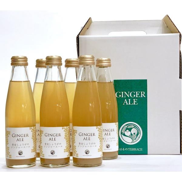 41本【高知 はるのTERRACE】 黄金しょうがのジンジャーエール