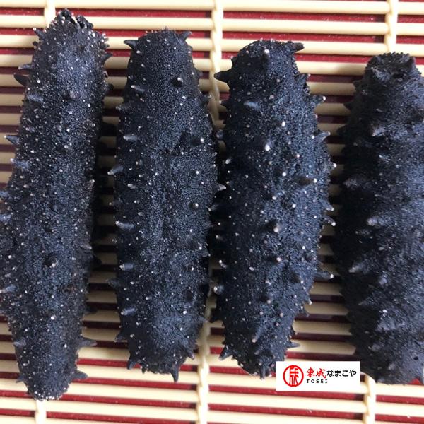 東成 青森産 乾燥黒なまこ 100g入 小サイズ B級品 ナマコ 海参 黒なまこ 黒ナマコ 黒海参 乾燥なまこ 乾燥ナマコ 干しナマコ 干しなまこ
