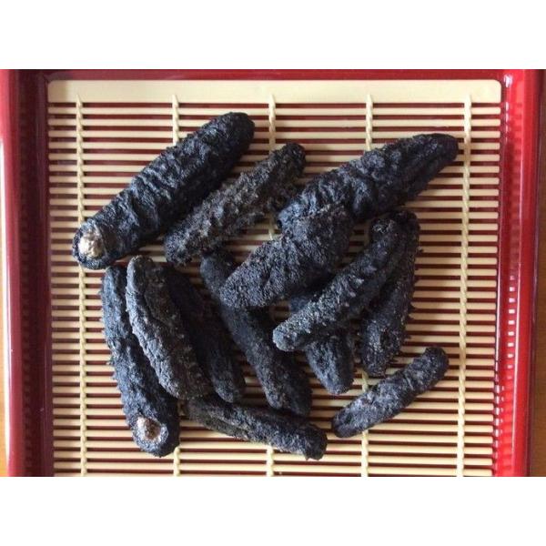 乾燥なまこ 500G40〜80個前後入キズあり B級品 関西産 なまこ ナマコ 