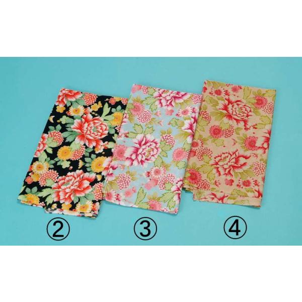 ߂񕗘C~O e ~ fB[X   a C~