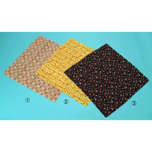 C~ s gt  fB[X   a ߂񕗘C~