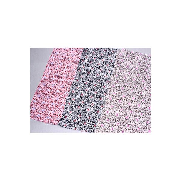 C~ 唻 ߂񕗘C~ 鑐͗l j o Ď  Vzj JƋLO nLO Cj N Ε  ̓ 