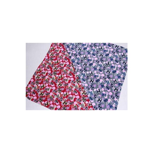 ߂񕗘C~dɈĕ fB[X   a C~