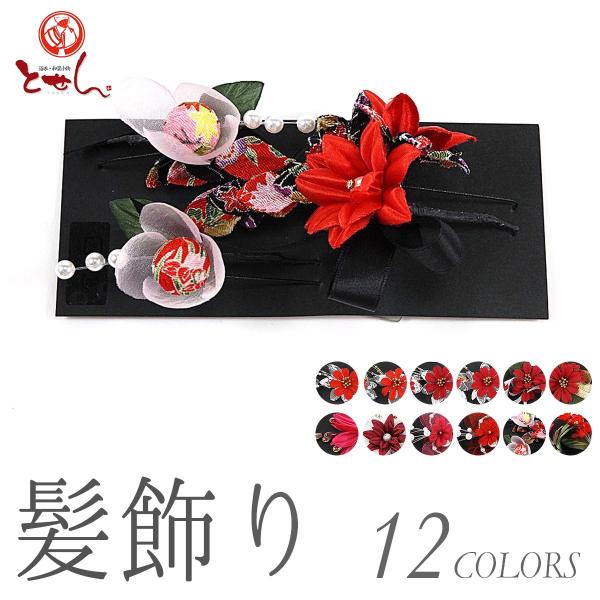 󂠂  U  ܎O  Ǝ a Ԕ  p q fB[X wl nCWjA ii  