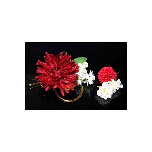 aԂ̔ԋe 2Zbg gUp   a wACN a    fB[X   a 񂴂 