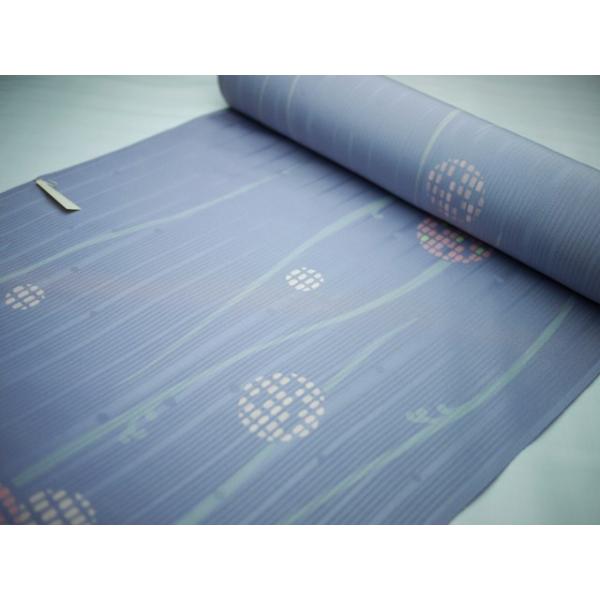  䒅 󂠂X܃L[݌ Oタ߂񐶒n { Yn   JWA i m t   X o