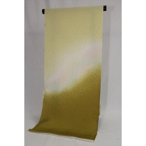  KOタ߂񐶒ngp F炵ڂ fB[X    ߔ