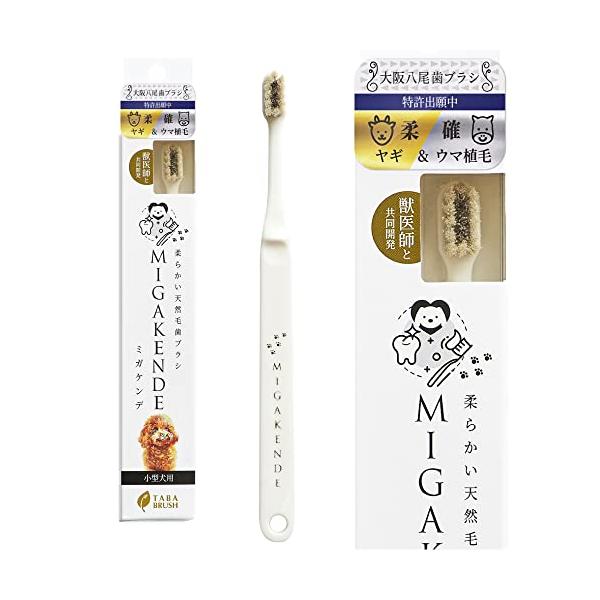 ヤギ＆ウマ植毛 1本 (やわらか ) 柔らかい天然毛歯ブラシ ミガケンデ 小型犬用 小型犬用 歯ブラシ 1本（やわらか）ヤギ＆ウマの天然毛植毛 ミガケンデ 日本製 獣