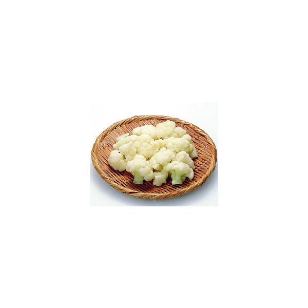 Ⓚ ⓀJt[ 500g IQF(oⓀ) ƖpJbg