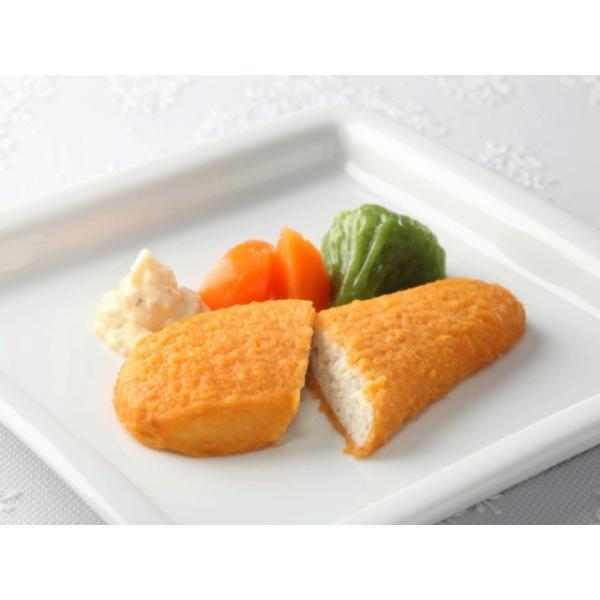 CTt[Y SFgtC[X40 400g(10)